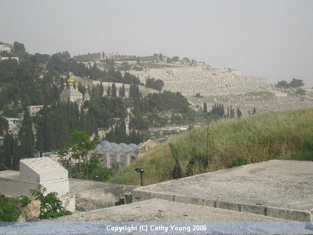 Jerusalem-view.jpg