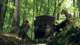 x07brothersinarms016_small.jpg