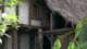 x07brothersinarms1008_small.jpg