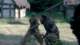 x07brothersinarms350_small.jpg