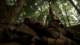 x07brothersinarms457_small.jpg