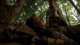 x07brothersinarms458_small.jpg
