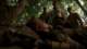 x07brothersinarms460_small.jpg