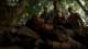 x07brothersinarms461_small.jpg