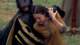 x07brothersinarms602_small.jpg