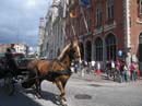 Bruges-Thehorses1