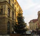 Prague-Christmas-tree