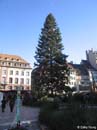 Strasbourg----Christmas-tree
