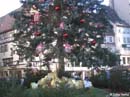Strasbourg----Christmas-tree2