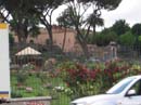 Rome-garden