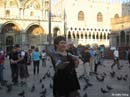 San-Marco-pigeons1