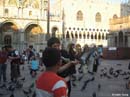 San-Marco-pigeons3